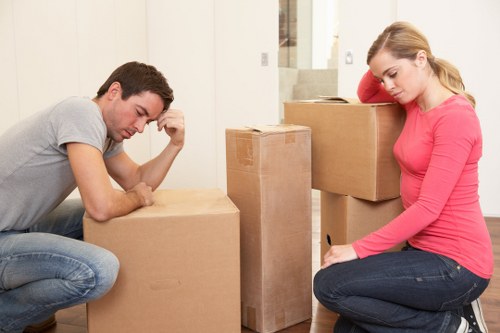 Selection of cardboard boxes and packing supplies for London storage